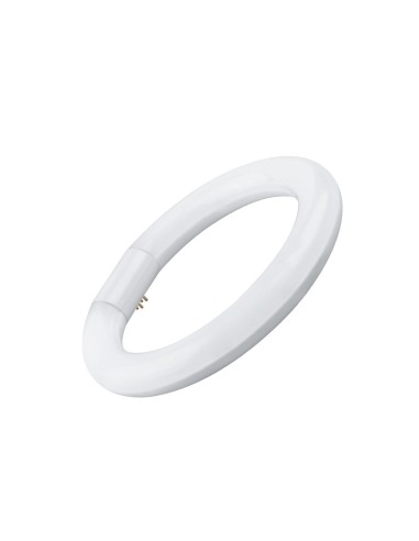 FLUORESCENTE LED T9 CIRCULAR 22cm 15W LUZ FRIA