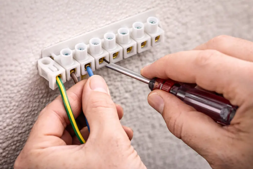 regleta de conexión ejemplo